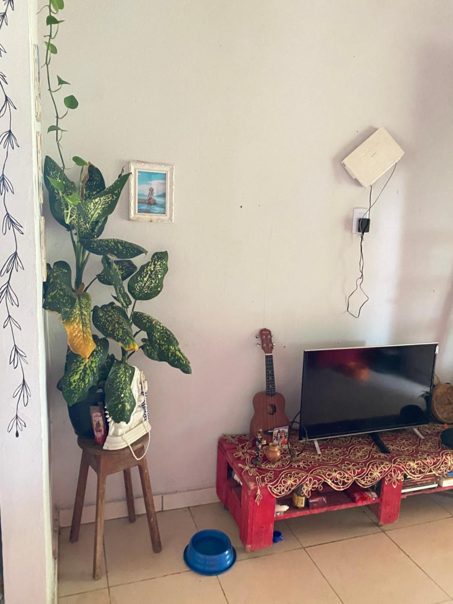 Casa Na Floresta Cosmica Ananindeua Exteriör bild